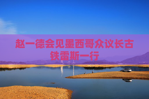 赵一德会见墨西哥众议长古铁雷斯一行