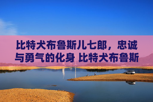 比特犬布鲁斯儿七郎，忠诚与勇气的化身 比特犬布鲁斯儿七郎
