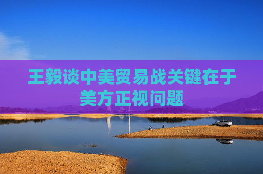 王毅谈中美贸易战关键在于美方正视问题