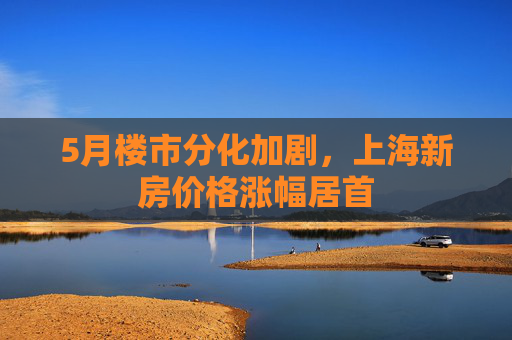 5月楼市分化加剧，上海新房价格涨幅居首