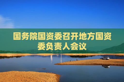 国务院国资委召开地方国资委负责人会议