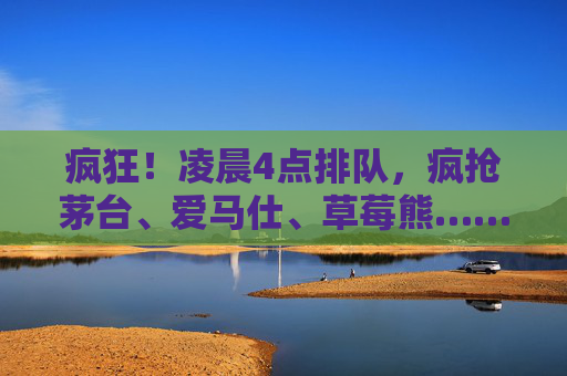 疯狂！凌晨4点排队，疯抢茅台、爱马仕、草莓熊……华南首家Costco开业，记者实探现场