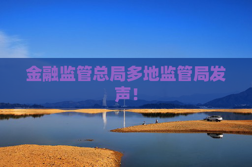 金融监管总局多地监管局发声！