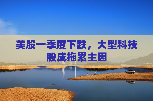美股一季度下跌，大型科技股成拖累主因