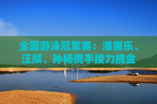 全国游泳冠军赛：潘展乐、汪顺、孙杨携手接力摘金
