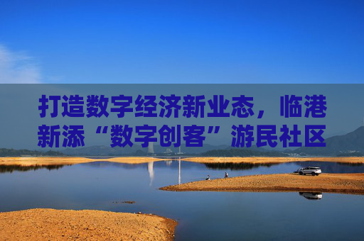打造数字经济新业态，临港新添“数字创客”游民社区