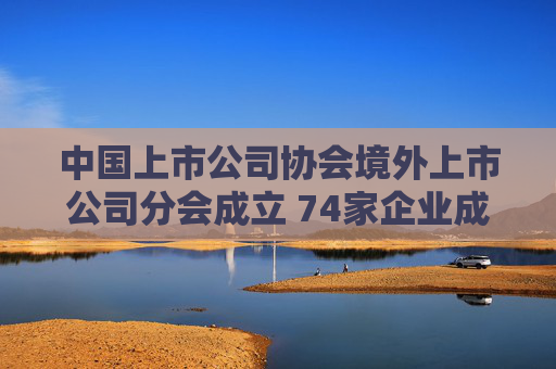 中国上市公司协会境外上市公司分会成立 74家企业成首届执委会成员