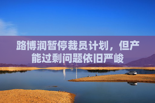 路博润暂停裁员计划，但产能过剩问题依旧严峻