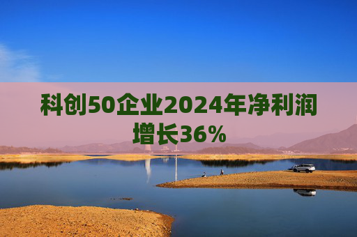 科创50企业2024年净利润增长36%