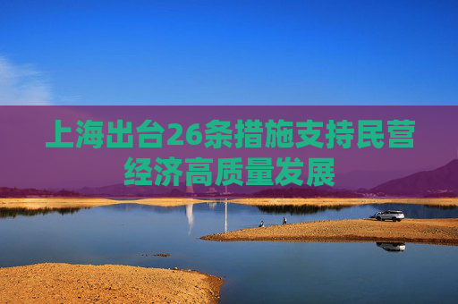 上海出台26条措施支持民营经济高质量发展