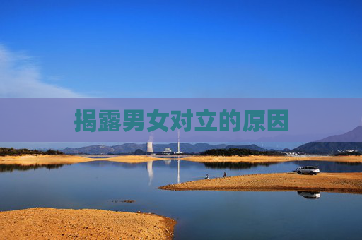 揭露男女对立的原因