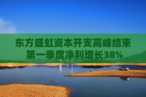 东方盛虹资本开支高峰结束 第一季度净利增长38%