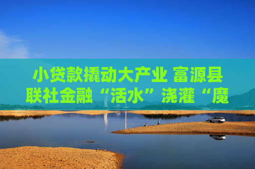 小贷款撬动大产业 富源县联社金融“活水”浇灌“魔芋致富花”