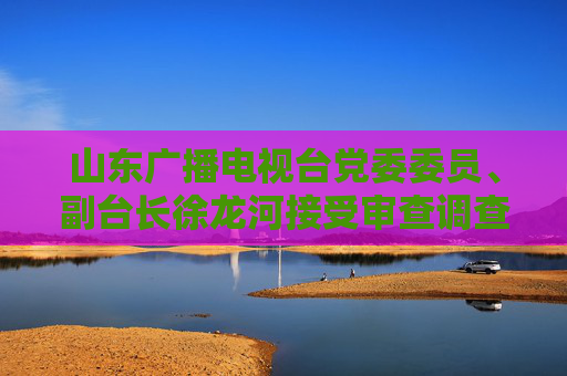 山东广播电视台党委委员、副台长徐龙河接受审查调查