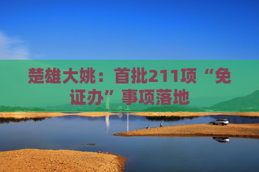 楚雄大姚：首批211项“免证办”事项落地