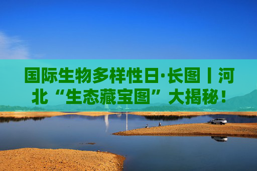 国际生物多样性日·长图丨河北“生态藏宝图”大揭秘！快来邂逅“神秘居民”