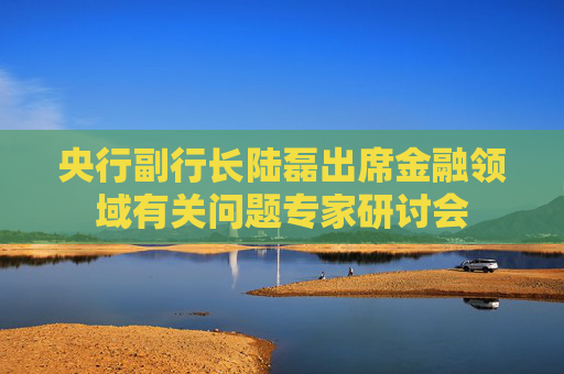 央行副行长陆磊出席金融领域有关问题专家研讨会