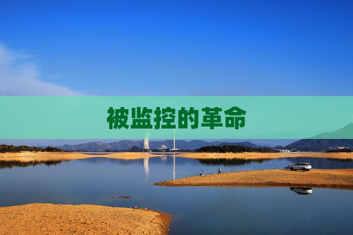 被监控的革命