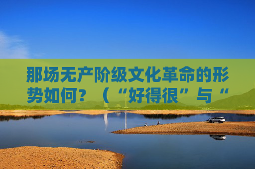 那场无产阶级文化革命的形势如何？（“好得很”与“糟得很”）