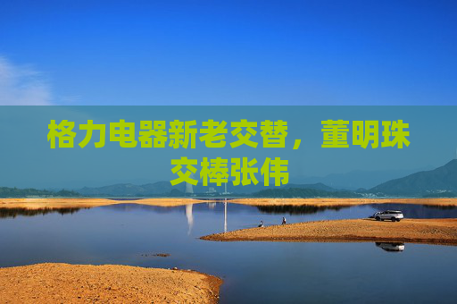 格力电器新老交替，董明珠交棒张伟