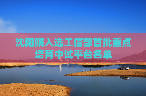 沈阳院入选工信部首批重点培育中试平台名单