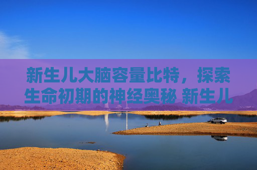 新生儿大脑容量比特，探索生命初期的神经奥秘 新生儿大脑容量比特
