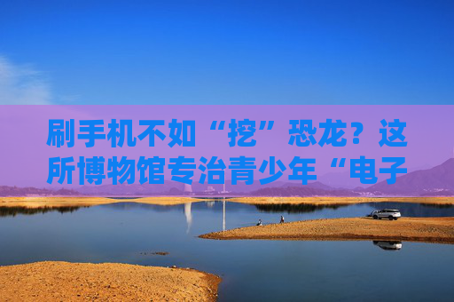 刷手机不如“挖”恐龙？这所博物馆专治青少年“电子沉迷”