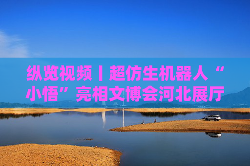 纵览视频丨超仿生机器人“小悟”亮相文博会河北展厅