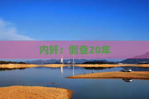 内奸：倒查20年