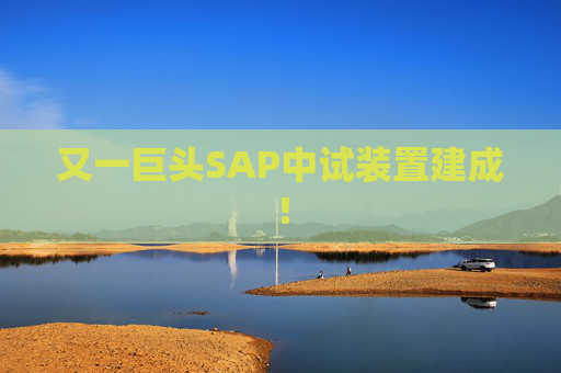 又一巨头SAP中试装置建成！