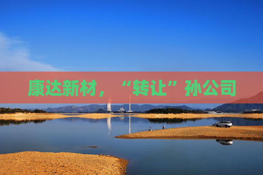 康达新材，“转让”孙公司
