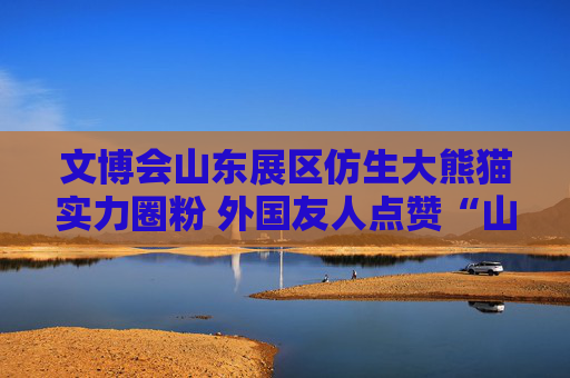 文博会山东展区仿生大熊猫实力圈粉 外国友人点赞“山东大熊猫”