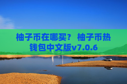 柚子币在哪买？ 柚子币热钱包中文版v7.0.6