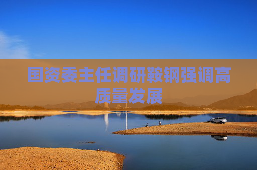国资委主任调研鞍钢强调高质量发展