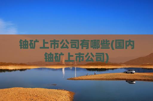 铀矿上市公司有哪些(国内铀矿上市公司)