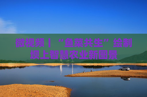 微视频丨“鱼菜共生”绘制坝上智慧农业新图景