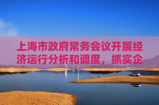 上海市政府常务会议开展经济运行分析和调度，抓实企业难点问题协调解决