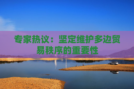 专家热议：坚定维护多边贸易秩序的重要性