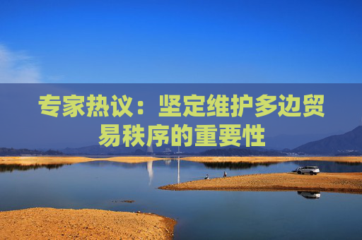 专家热议：坚定维护多边贸易秩序的重要性