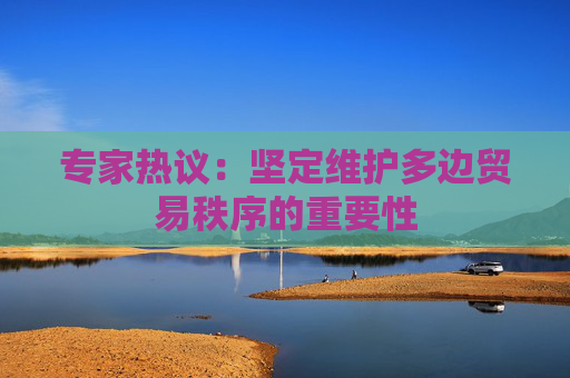 专家热议：坚定维护多边贸易秩序的重要性