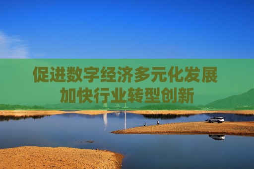 促进数字经济多元化发展 加快行业转型创新