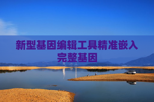 新型基因编辑工具精准嵌入完整基因
