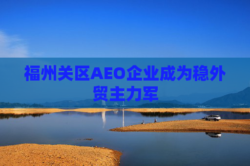 福州关区AEO企业成为稳外贸主力军