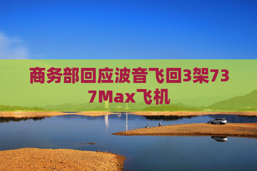 商务部回应波音飞回3架737Max飞机