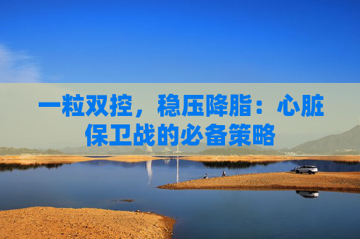 一粒双控，稳压降脂：心脏保卫战的必备策略