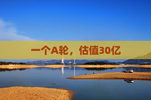 一个A轮，估值30亿