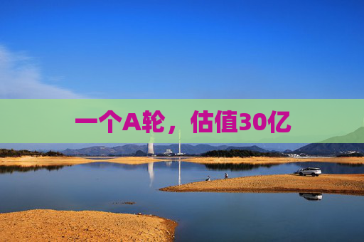 一个A轮，估值30亿