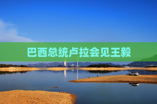 巴西总统卢拉会见王毅