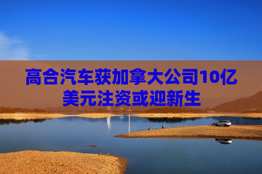 高合汽车获加拿大公司10亿美元注资或迎新生