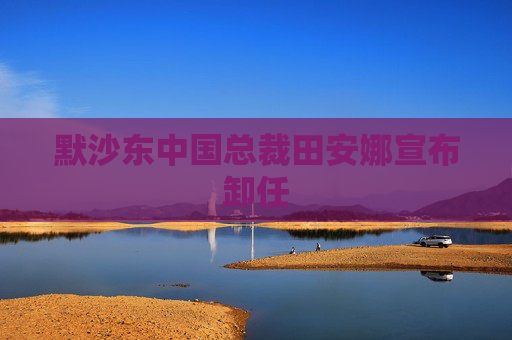 默沙东中国总裁田安娜宣布卸任